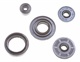 Oil Seal